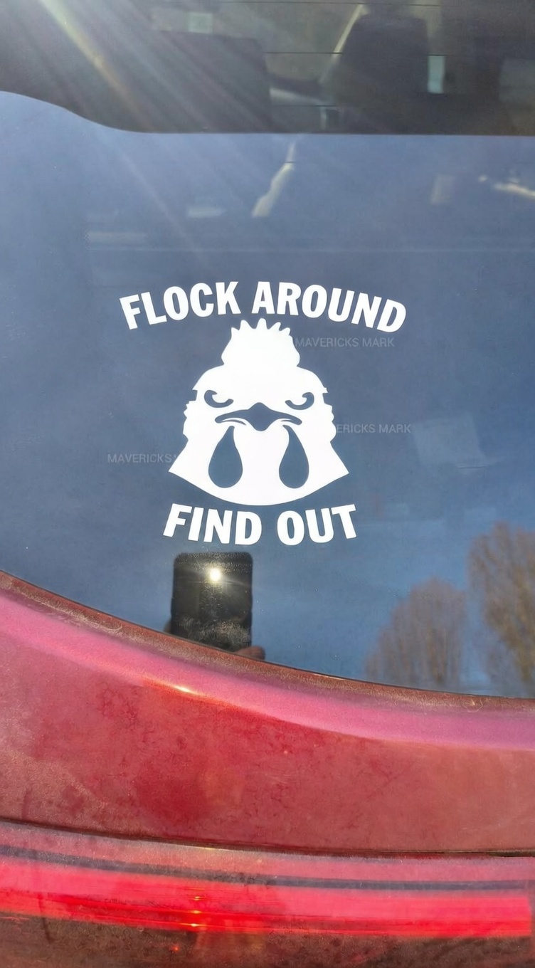 Rooster decal: Flock Around and Find Out